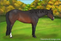 Horse Color:Brown 