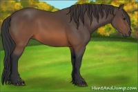 Horse Color:Brown 