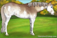 Horse Color:White Spotted Silver Blue Onyx Splash