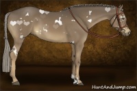 Horse Color:White Spotted Chocolate Palomino