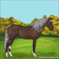Horse Color:Silver Brown 