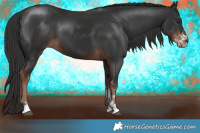 Horse Color:Liver Chestnut Sabino 