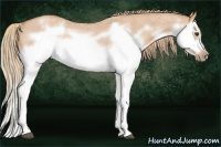 Horse Color:Red Dun Roan Splash Frame Rabicano 