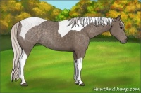 Horse Color:Silver Black Tobiano 