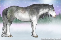 Horse Color:Brown Chinchilla Sabino Rabicano