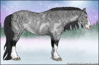 Horse Color:Buckskin Chinchilla Ice Sabino Rabicano