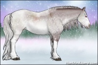 Horse Color:White Spotted Chocolate Silver Brown Chinchilla Dun Sabino Rabicano