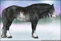 Horse Color:Buckskin Chinchilla Ice Sabino 