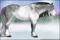 Horse Color:Buckskin Chinchilla Ice Sabino 