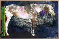 Horse Color:Painted White Spotted Brown Ice Onyx Splash Rabicano and Painted White Spotted Brown Ice Sabino Rabicano