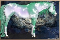 Horse Color:Watercolor White Spotted Brown Onyx Sabino 