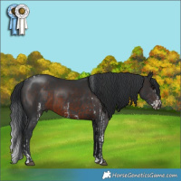Horse Color:White Spotted Black Tobiano  and Brown 