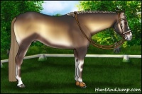 Horse Color:Liver Red Onyx 