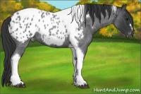 Horse Color:Blue Roan Tobiano Frame Blanket 