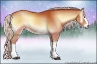 Horse Color:White Spotted Chocolate Silver Bay Onyx Rabicano