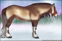 Horse Color:Chocolate Brown Onyx 