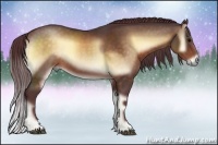 Horse Color:Chocolate Brown Onyx