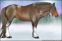 Horse Color:White Spotted Liver Chestnut 