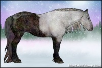 Horse Color:Nacre Brown Ice 