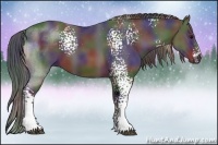 Horse Color:Nacre White Spotted Brown