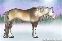 Horse Color:White Spotted Chocolate Palomino Onyx Sabino Splash Rabicano