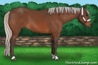 Horse Color:Silver Bay 