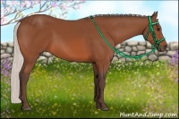 Horse Color:Silver Bay 