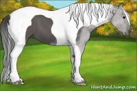 Horse Color:Black Tobiano Frame