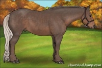 Horse Color:Silver Black