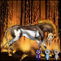 Horse Color:Bay Splash Frame Rabicano 