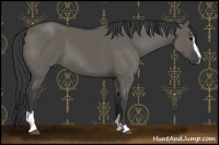 Horse Color:Grullo Sabino 
