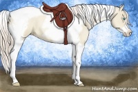 Horse Color:Palomino Pearl Dun Tobiano Frame 