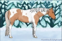 Horse Color:Silver Bay Roan Tobiano