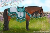 Horse Color:Brown Appaloosa  and Brown Appaloosa Rabicano 