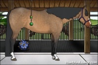 Horse Color:Brown Dun Sabino Frame 