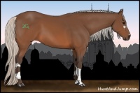 Horse Color:White Spotted Silver Brown