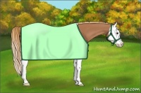 Horse Color:Chestnut Splash 