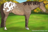 Horse Color:Sable Champagne Snowflake Varnish 