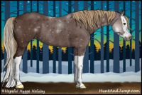 Horse Color:Gray Chestnut Splash Rabicano