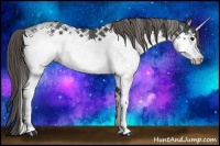 Horse Color:White Spotted Smoky Black Appaloosa