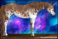 Horse Color:White Spotted Chestnut 