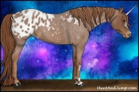 Horse Color:Red Roan Appaloosa 