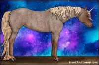 Horse Color:Red Roan 