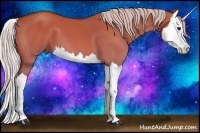 Horse Color:Silver Bay Dun Splash