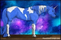 Horse Color:Watercolor Black Tobiano