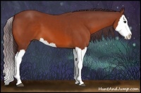 Horse Color:Chocolate Brown Splash 