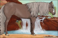 Horse Color:Chocolate Silver Black 