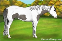 Horse Color:Smoky Grullo Splash Tobiano