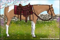 Horse Color:Chestnut Tobiano