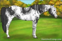 Horse Color:White Spotted Black Varnish 